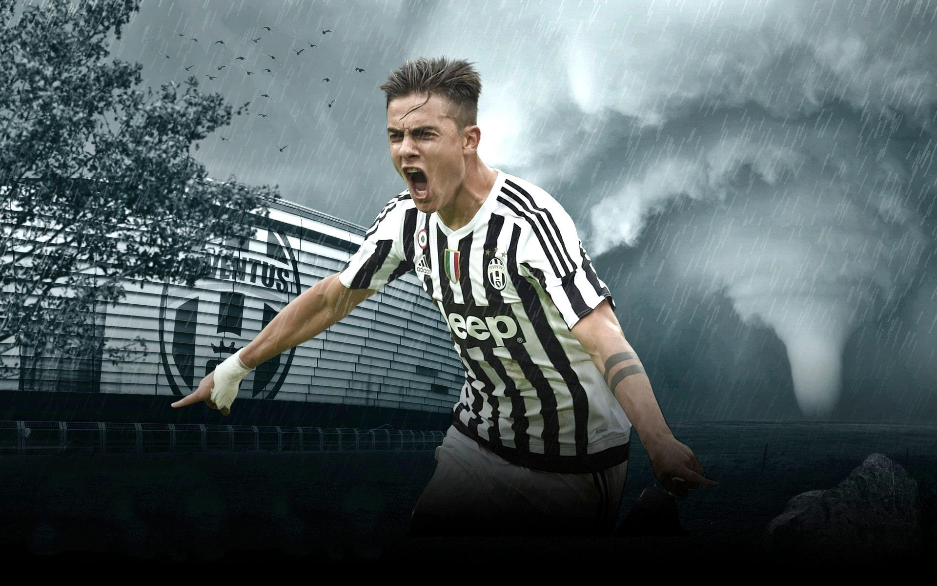 14亿豪门 14亿豪门